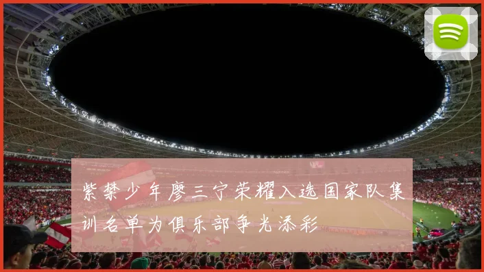 紫禁少年廖三宁荣耀入选国家队集训名单为俱乐部争光添彩