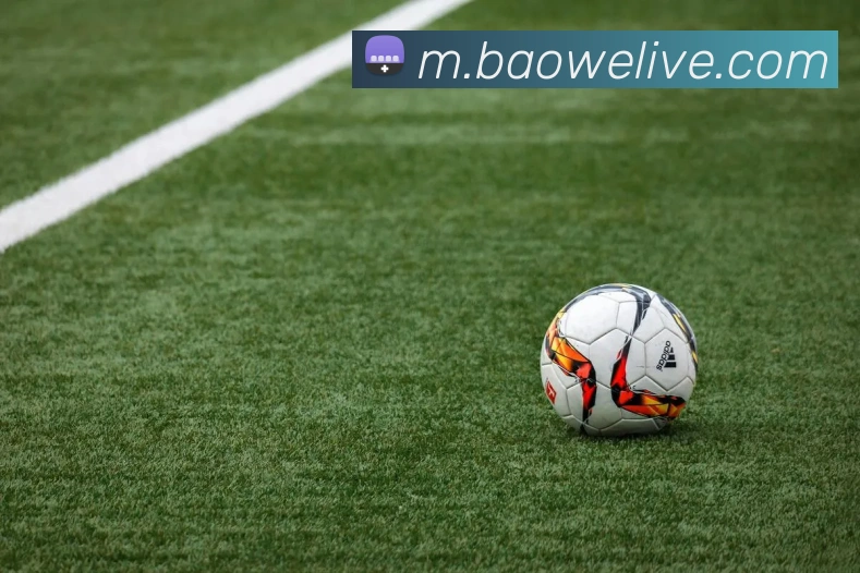 App Interface Preview